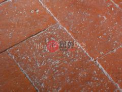 意大利NovaraOrta San Giulio的独栋别墅，Regione Garullo，编号78037205