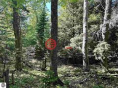 美国密歇根州Beaver Island的住宅用地，None Lots 56 & 57 Spaulding Drive，编号77885732