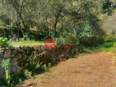 秘鲁库斯科Ollantaytambo的住宅用地，Valle de Chacchapata Lt 2，编号76423564
