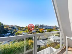 新西兰纳皮尔的独栋别墅，6 Fitzroy Road Bluff Hill，编号77981472