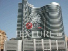 阿联酋迪拜迪拜的公寓，I-Rise Tower，编号55794313