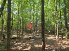 美国南卡罗来纳州希思泉的住宅用地，None 00 Hoke Road，编号78151710