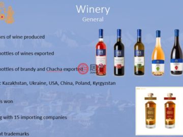 总占地58000平方米的酒庄