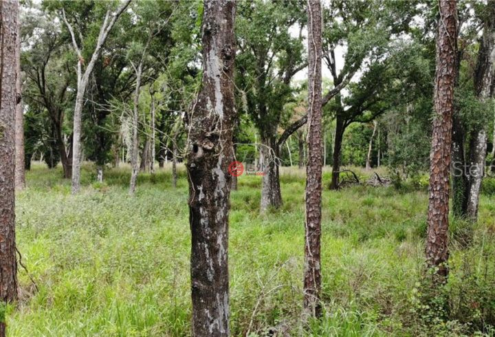 美国佛罗里达州拉克兰总占地55037平方米的土地